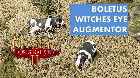 divinity original sin 2 augmentor.